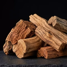 עץ סנדל